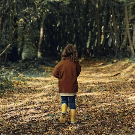 Σπίτι διακοπών Harmony Homes La Chapelle-hareng - Indoor Pool Sauna & Le Planquay