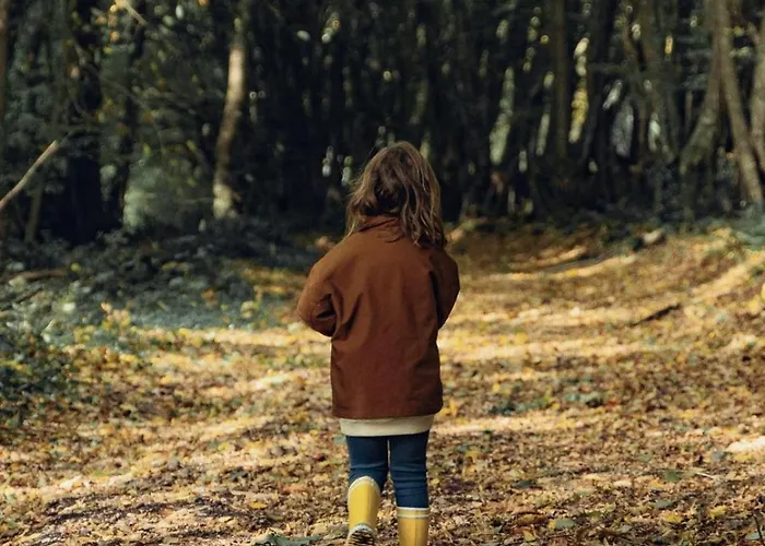 Σπίτι διακοπών Harmony Homes La Chapelle-hareng - Indoor Pool Sauna & Le Planquay